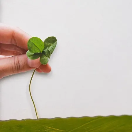 Appartement Zemun Break *